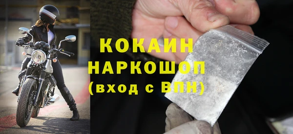 индика Абинск