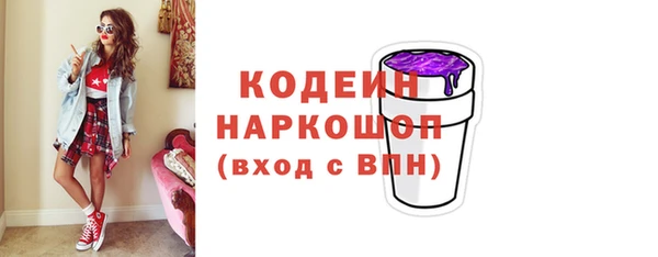 индика Абинск