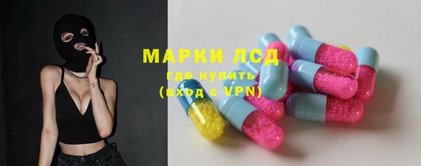 индика Абинск