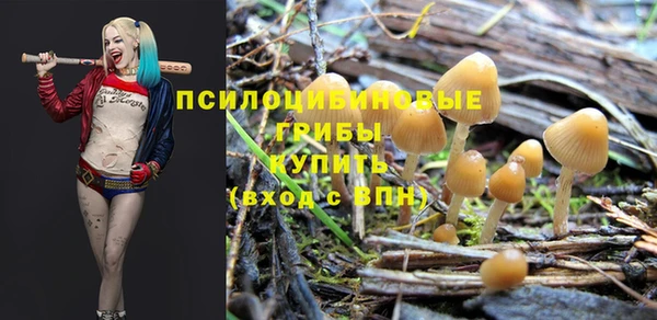стаф Абаза
