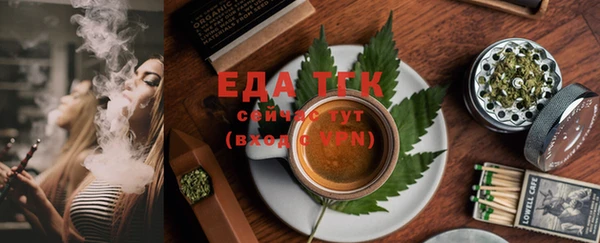 индика Абинск